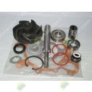 Ремкомплект помпы ISUZU двигатель 8PD1 1136107903/B4291 ASASHI