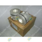 Поршни HINO двигатель J05C STD EVER POWER 13216-2631 PS114004ANHOA