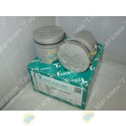 Поршни NISSAN двигатель TD25-LATE STD TEIKIN 44666A ALFIN 12010-44G15 (маслосъёмное кольцо 3мм)