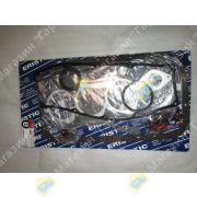 Ремкомплект двигателя NISSAN TD25 10101-43G25 EF9710 ERISTIC