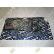 Ремкомплект двигателя NISSAN TD27 10101-43G27 EF9720V1 ERISTIC
